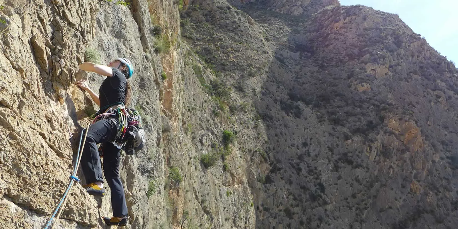 retrato gemar pino 2025