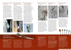 20863423_173588893210755_3381470730052712253_o