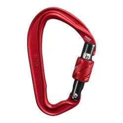 Fixe Picot mosquetón seguridad