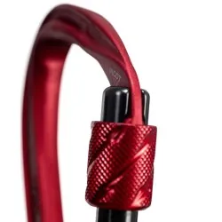 Fixe Picot mosquetón seguridad
